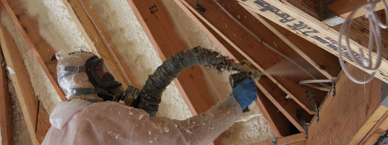 Raleigh North Carolina Attic Insulation Spray Foam